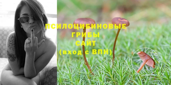 синтетический гашиш Арсеньев