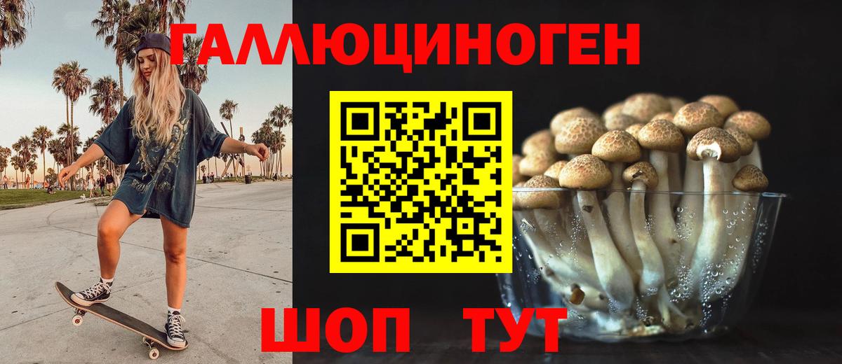 Псилоцибиновые грибы прущие грибы  Вход с VPN  Кудрово 